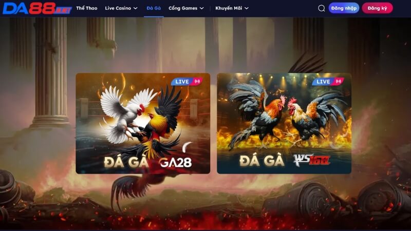 Sảnh cược đá gà DA88 có tỷ lệ trả thưởng hấp dẫn 1 ăn 5